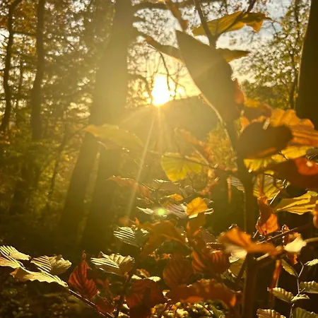 Abendrot Lägenhet