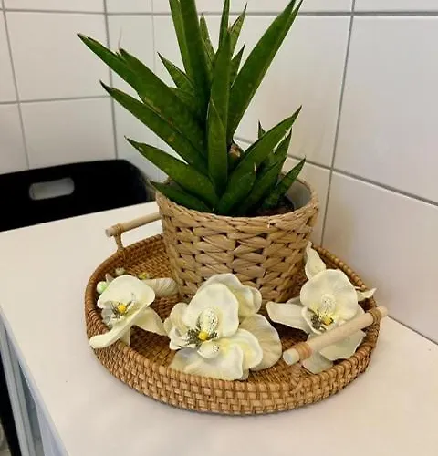 Abendrot * Lindenfels